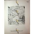 Ruisseau Sous Bois & Hangar A Sel, Book Illustr...