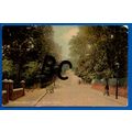 Postcard Ashburnham Road Clive Vale Hastings Su...