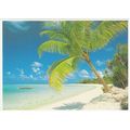 CARTE POSTALE - POLYNESIE FRANCAISE - REF 30