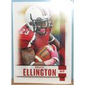 2014 SAGE Hit BRUCE ELLINGTON (S. CAROLINA/49er...