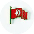 Pin Badge Red Flag Gift Bag Star Crescent Gift ...