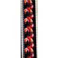 Jimi Hendrex. Pk MTP - d085G . 1 STRIP OF 5 - 3...