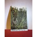SUGAR CANE, GRAND CANARY, SPAIN used antique po...