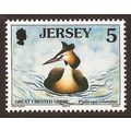 1997 Jersey, Sea Birds, Great Crested Grebe, NH...