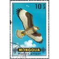 MONGOLIA, BIRD, Common Buzzard, Buteo buteo, blue 1970, 10mongo