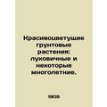 Beautiful flowering ground plants: bulbs and some perennials. /Krasivotsvetushch