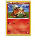 Pokemon XY BREAKPoint #010/122 Growlithe