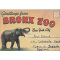 Greetings From Bronx Zoo USA Old Folding Postca...