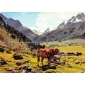 D025208 Gruss aus dem schonen Tirolerland. K. T...