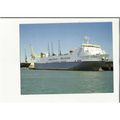 F.97 Cobelfret Ferries MV CELANDINE Postcard