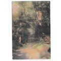 In Leigh Woods Clifton Bristol Avonvale Series ...