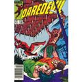 Daredevil (Vol 1) # 211 NM MODERN AGE COMICS