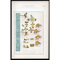 ALPHABET 1883 PICTORIAL WRITING OF MEXICO VICTO...