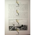 Ruins Of Tyre, Now Israel, Book Illustration (P...