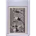 1932 Bulgaria Olympics Sports Photos Women