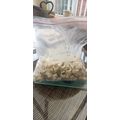 300x 12mm White Round Nail Clips (Some slight d...