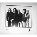 Shaking Family, original 8x10" press photo, ca ...