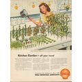 food machinery corp 1947 kitchen garden shell l...