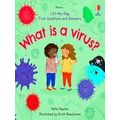 What is a Virus Lift the Flap First Questions a...