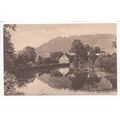 Box Hill Dorking Surrey Postcard 211