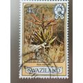 Swaziland QEII 1980 Flowers 4c Aloe Marlothii U...