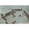 St Lucia Carribean Boys Diving For Money Canoe ...