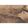 Angola Africa Boat By Crocodile Reptile Hunters...