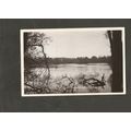 Postcard Buckinghamshire Drakeloe Lake