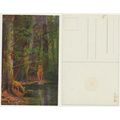 Postcard circa 1920s Deer in forest Art Paintin...