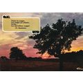 Poetes et Nature France Postcard posted 1981 VGC