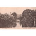 Chelmsford The Cann Swan Ripple On Water Antiqu...