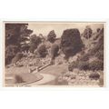 The Cliff Gardens Felixstowe Postcard Suffolk 5941