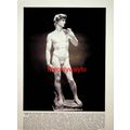 David, Sculpture, Florence And Florida Sugar Pl...