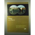 1998 First Union Ad - Degas at the Races
