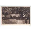 St Michael's Church Betws-Y-Coed Postcard 12546