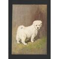 DE RESKE THE SAMOYED CIGARETTE LARGE PACKET DOG...