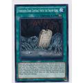 YuGiOh The Dark Illusion - TDIL-EN056 - Forbidd...