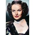 bc0019 - Film Actress - Dorothy Hart - print 6"x4"