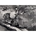 MONTHS: APRIL 1871 Cat - Rabbit - Birds - Georg...
