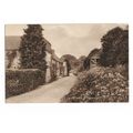 The Street, Thursley, Surrey, Postcard.
