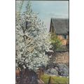 Stimmungsbild - Frühlingsblüte, Gehöft, c.1910s...