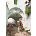 Colour Postcard - Peaceful Street Scene with Do...