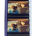 Gremlins. pk DJQ - A 025Y. 1 strip of 5 film ce...