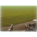 Futera's Aston Vila 1997-98 Fans' Selection: Stadium - No. 86, Middle Middle of