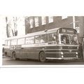 Black & White Photo of London Country Bus Servi...