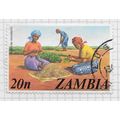 ZAMBIA 1975 WOMEN HARVESTING GROUND NUTS FARMIN...