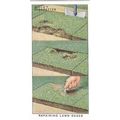Wills Garden Hints Card No. 19 Repairing Lawn E...
