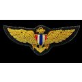 THAILAND AIR FORCE PILOT GOLD BULLION WIRE WING...