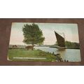 1906 fr D.C Thompson Postcard - Boat on Yare, W...