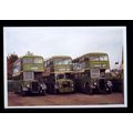 tm7513 - Crosville Buses - Reg.Nos.JFM 96, RFM ...